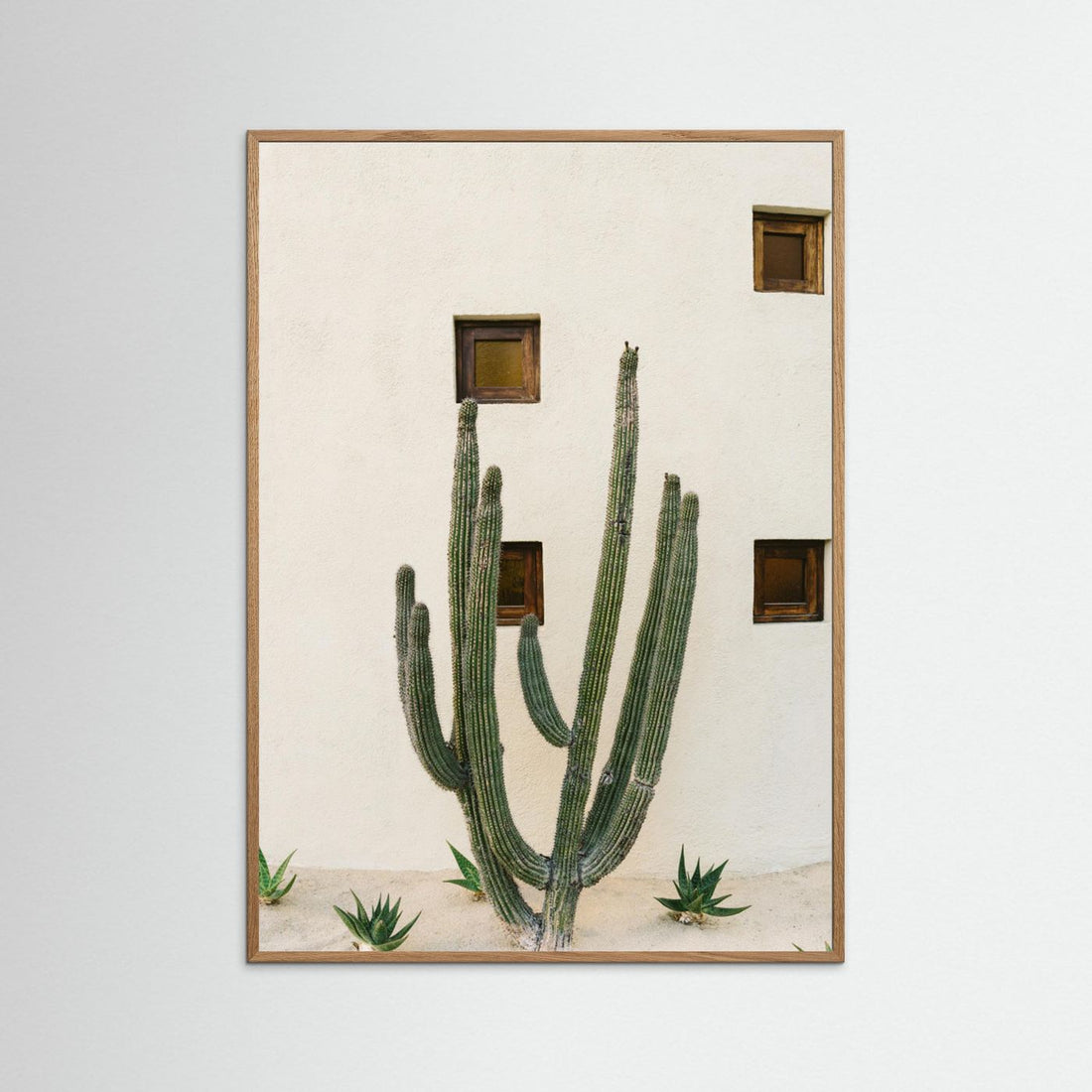 Cabo Cactus IX by Bethany Young