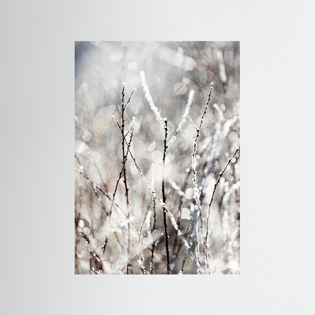 A Winter Morning 4 by Mareike Böhmer