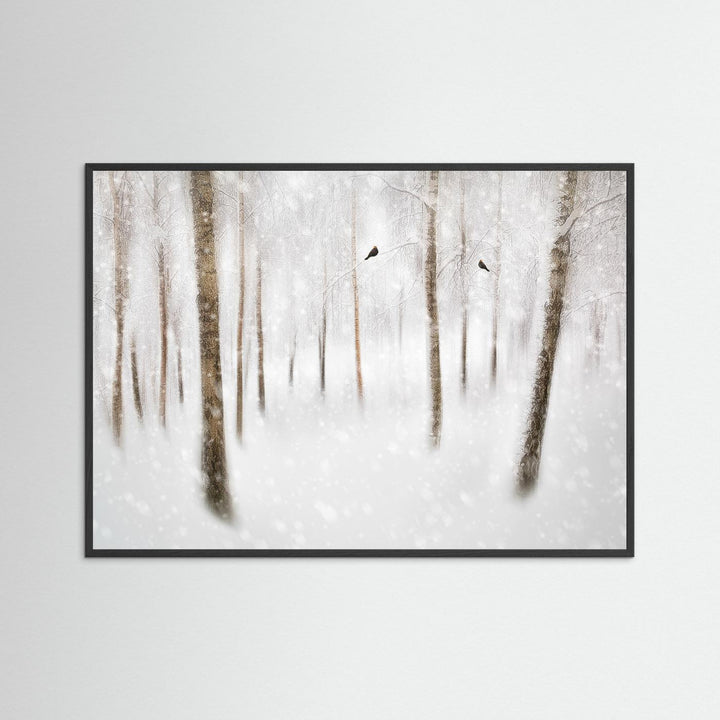 Winter Birches by Gustav Davidsson