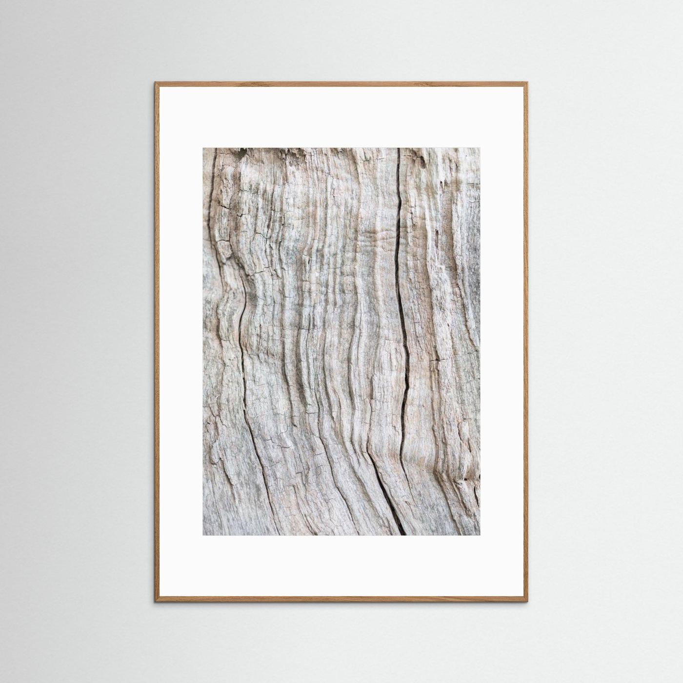 Wood Pattern by Pictufy Studio Iii