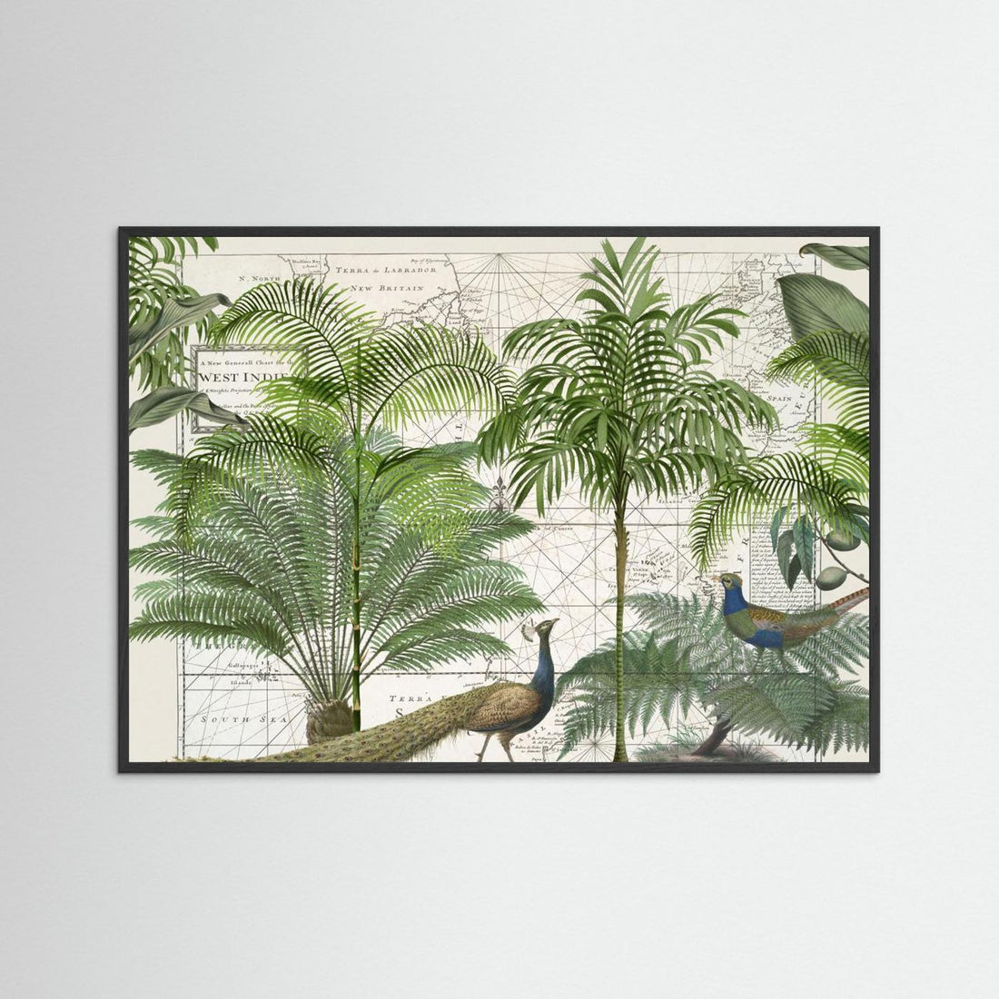 Tropical Empire No6 by Andrea Haase