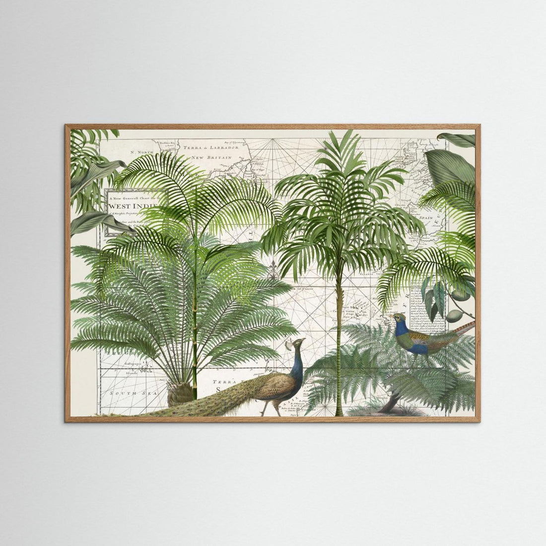 Tropical Empire No6 by Andrea Haase