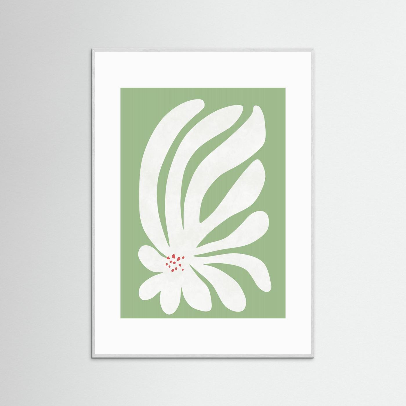 White Chrysanthemum Flower by Amini54