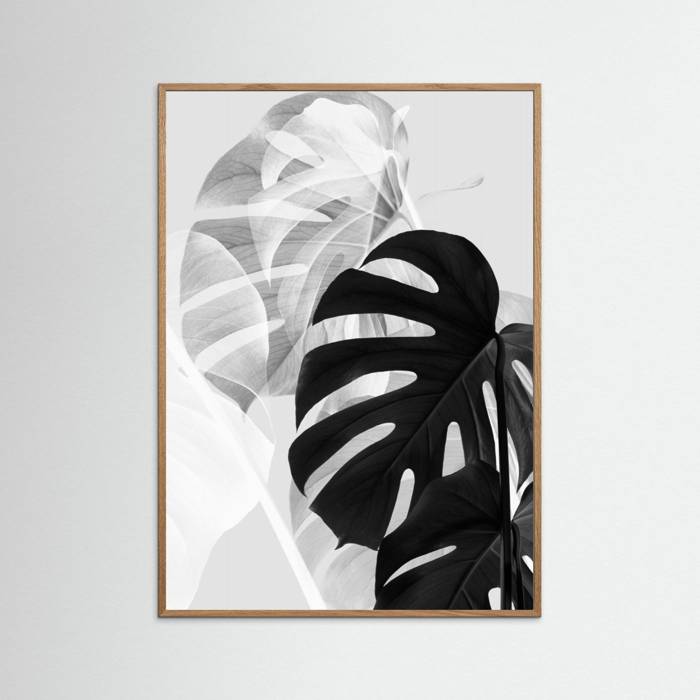 Monstera Black and White by Pictufy Studio Iii