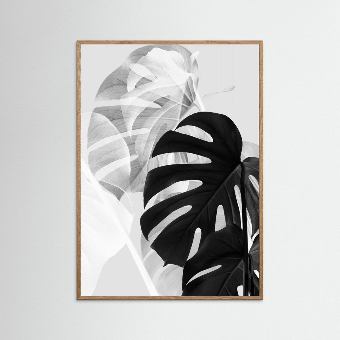 Monstera Black and White by Pictufy Studio Iii