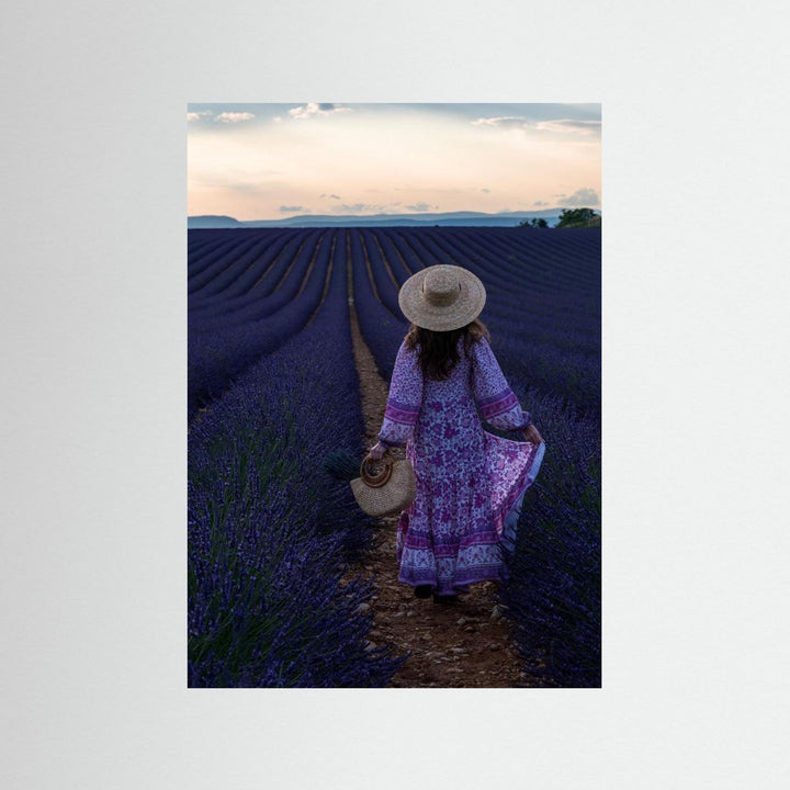 Lavender by Marco Galimberti