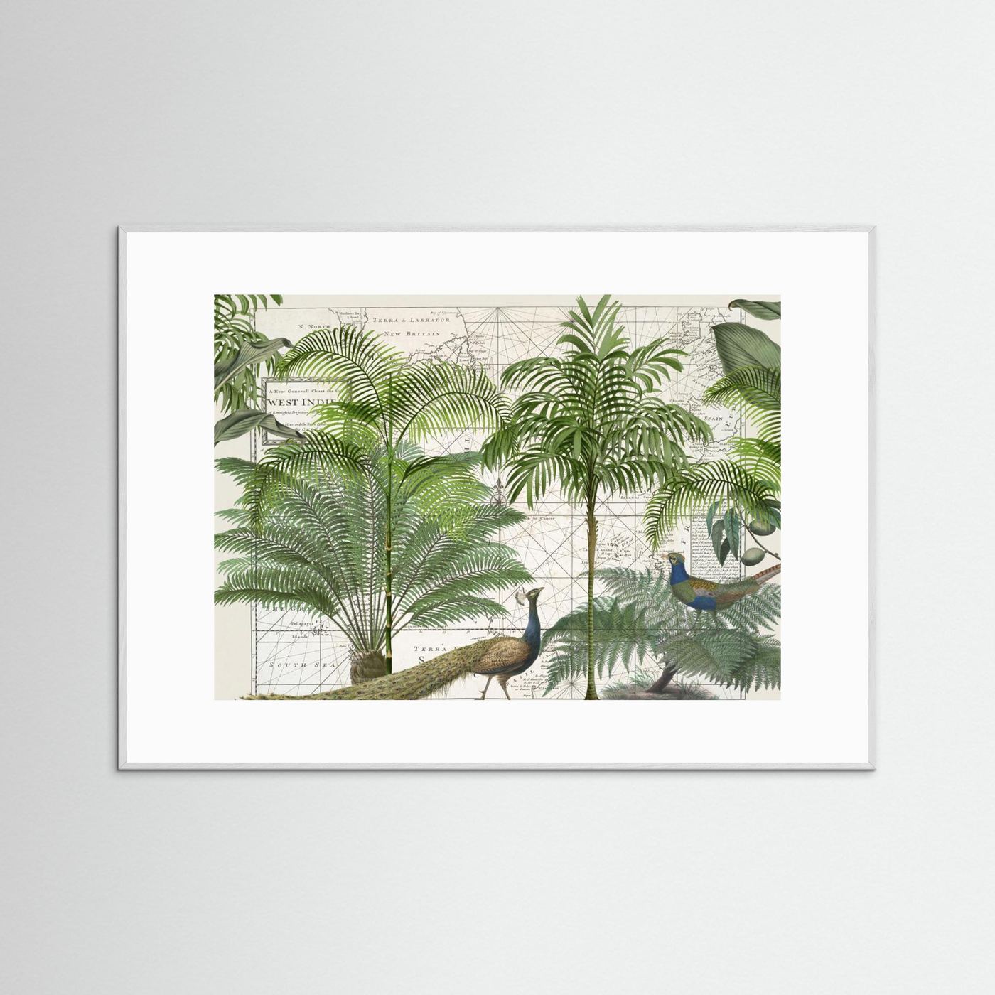 Tropical Empire No6 by Andrea Haase