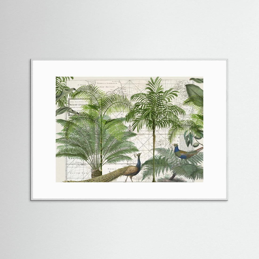 Tropical Empire No6 by Andrea Haase