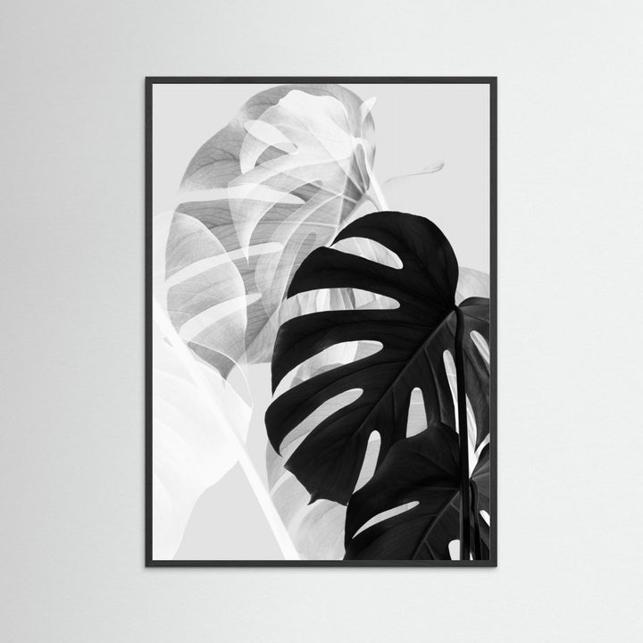Monstera Black and White by Pictufy Studio Iii