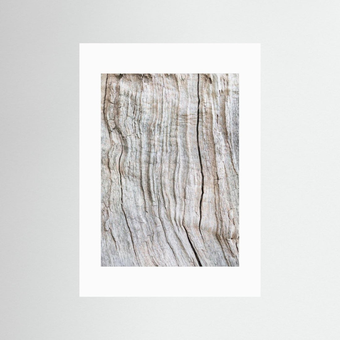 Wood Pattern by Pictufy Studio Iii