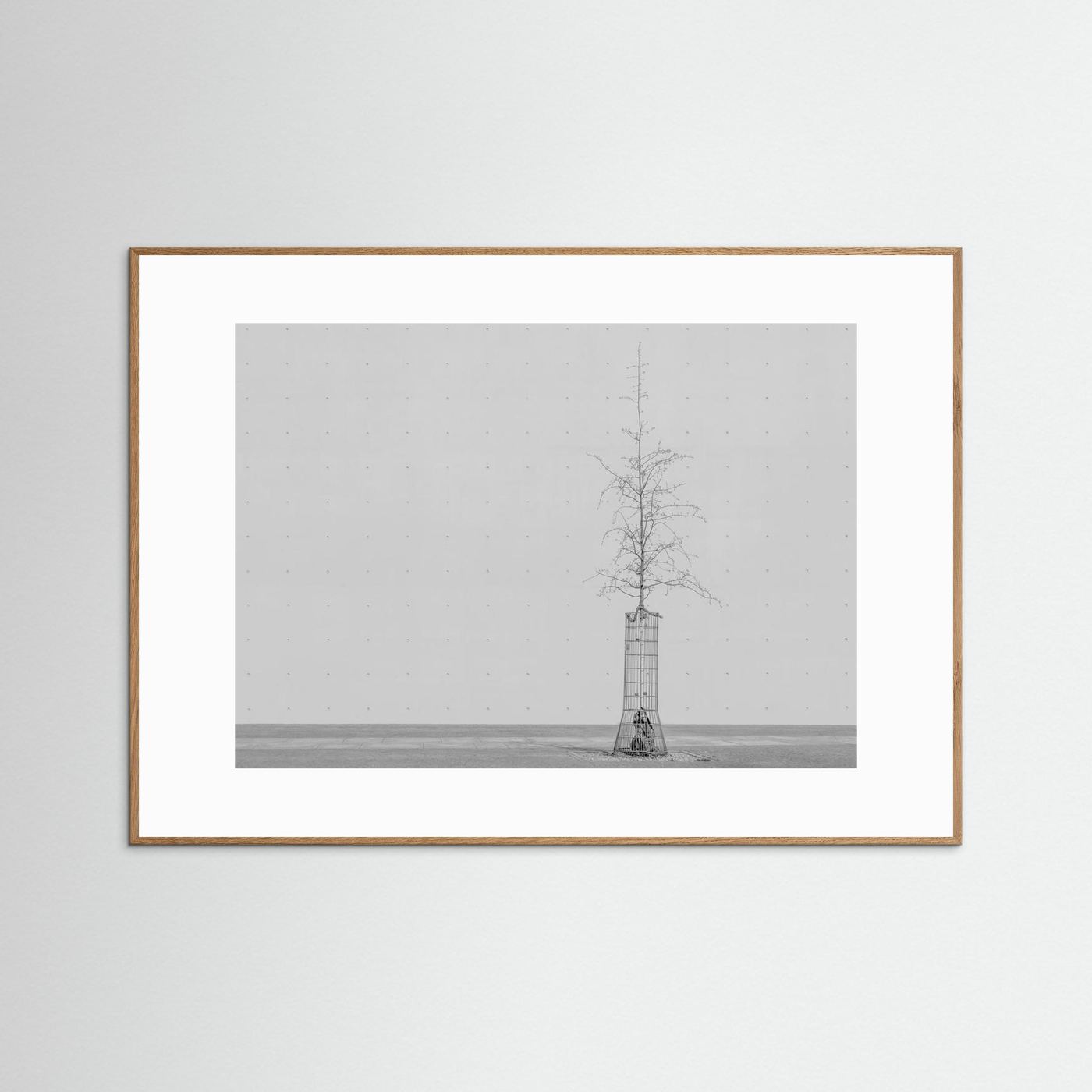 the tree by Klaus Lenzen