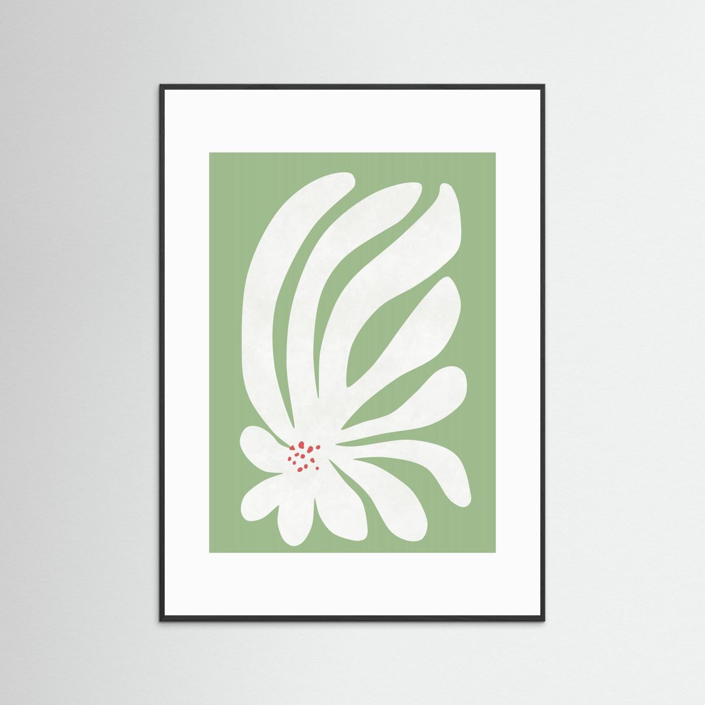 White Chrysanthemum Flower by Amini54