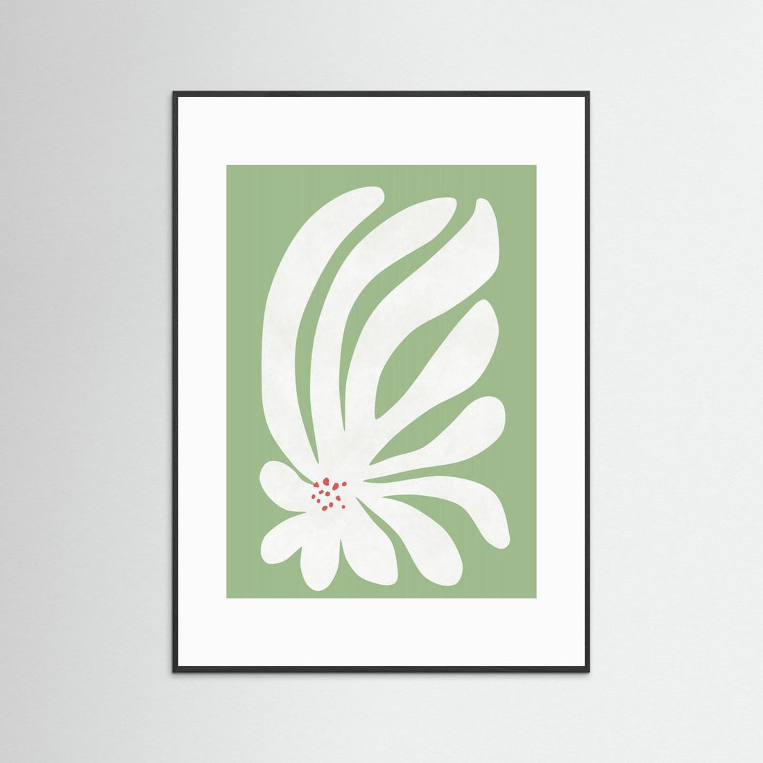 White Chrysanthemum Flower by Amini54