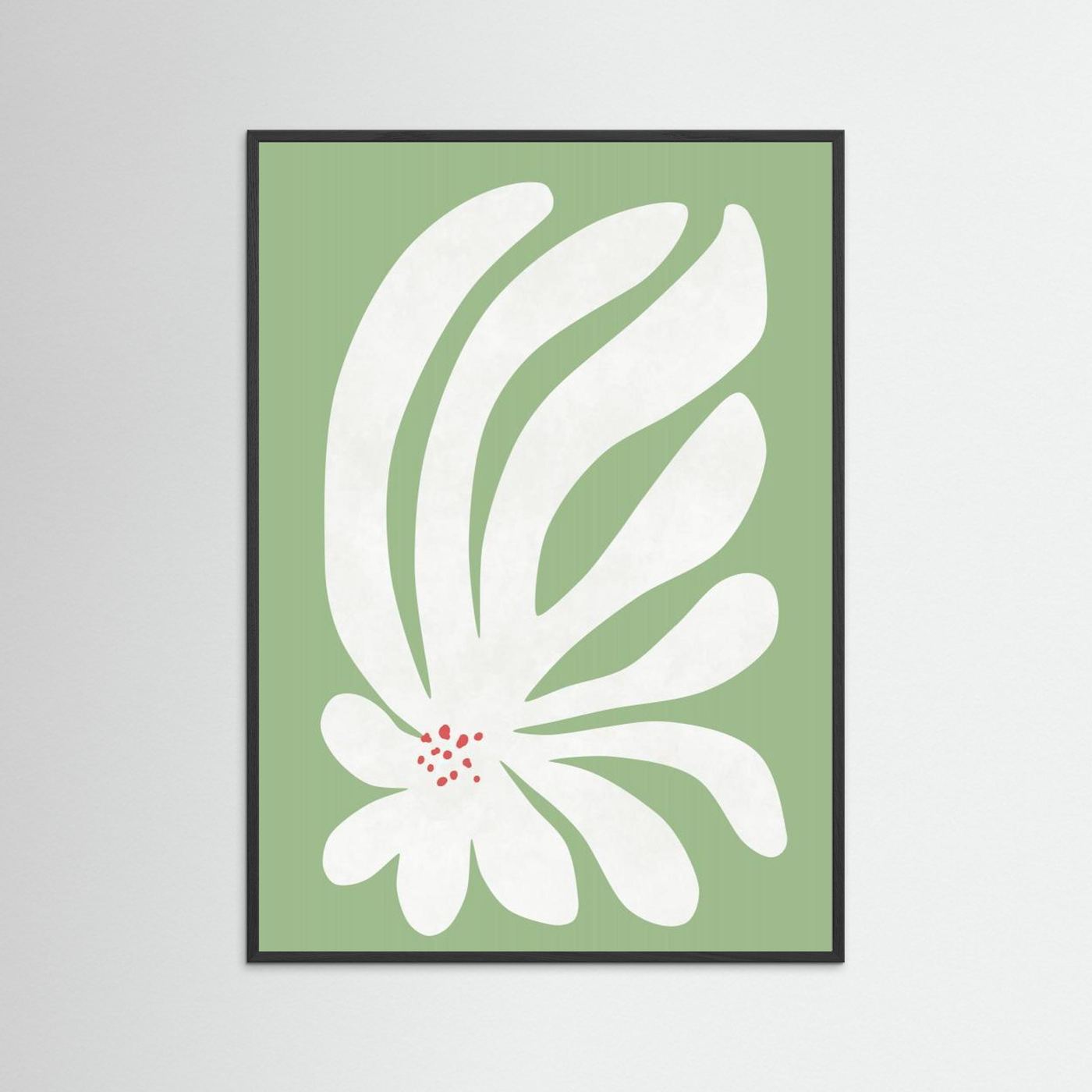 White Chrysanthemum Flower by Amini54
