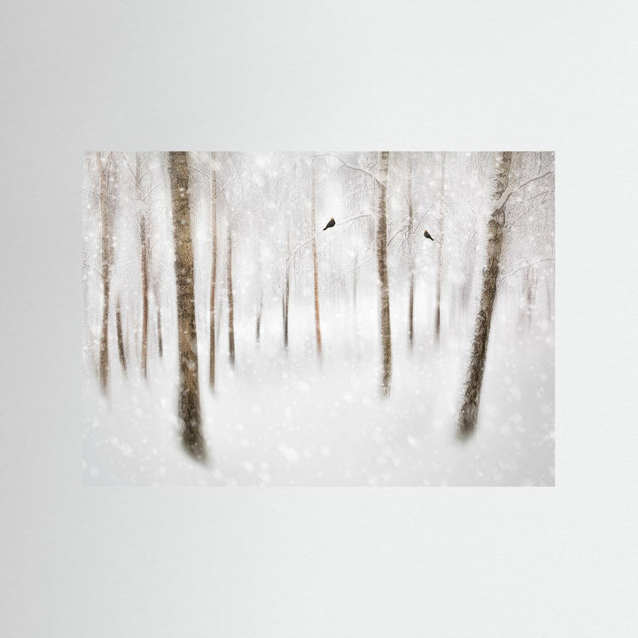 Winter Birches by Gustav Davidsson
