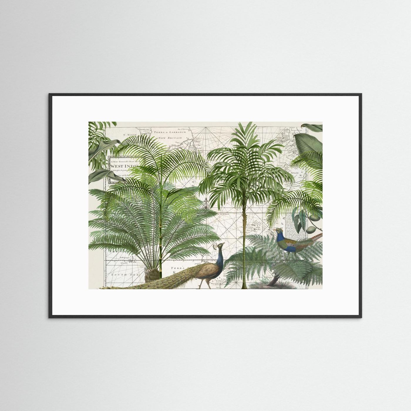 Tropical Empire No6 by Andrea Haase
