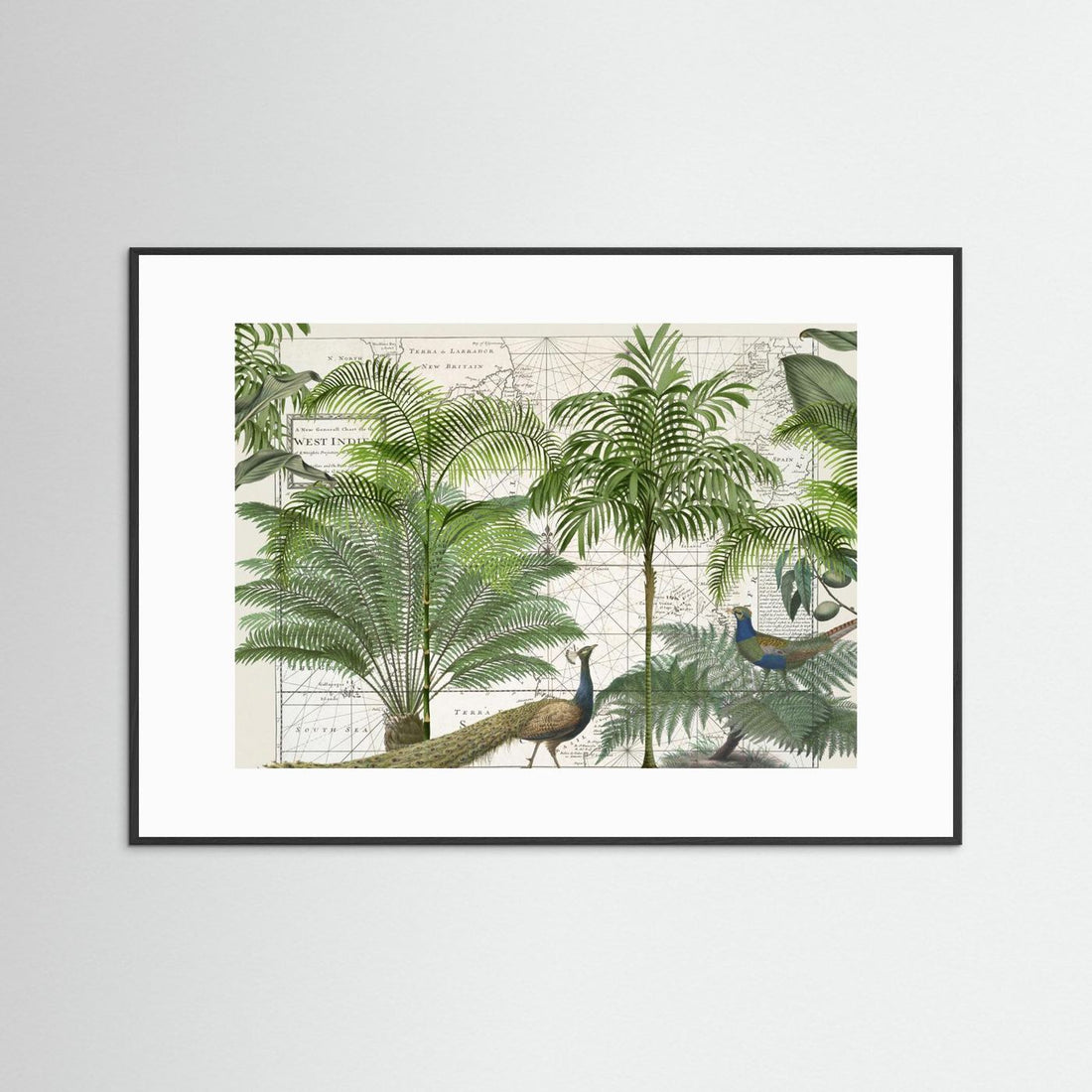 Tropical Empire No6 by Andrea Haase