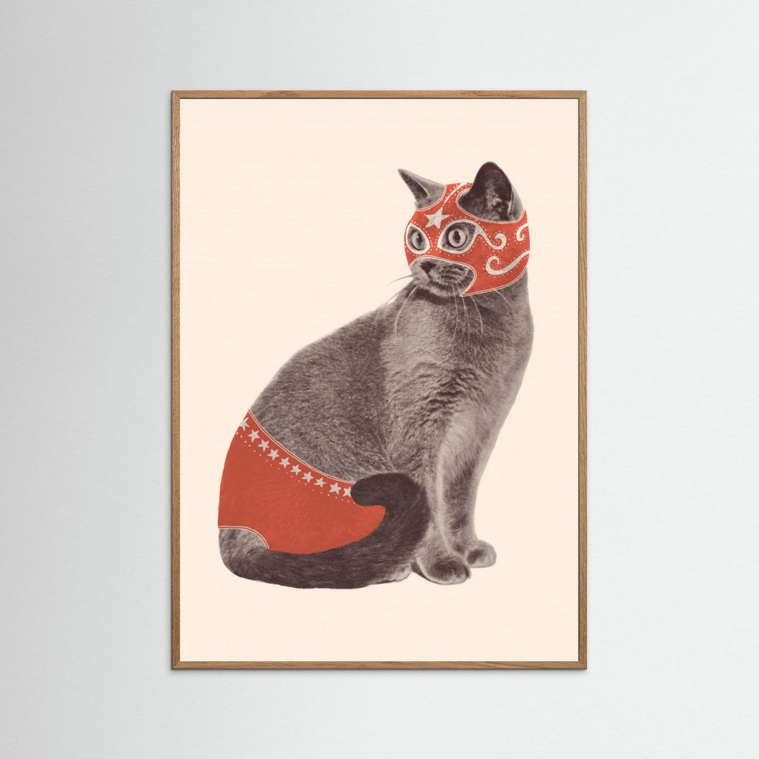 Chat Catcheur by Florent Bodart