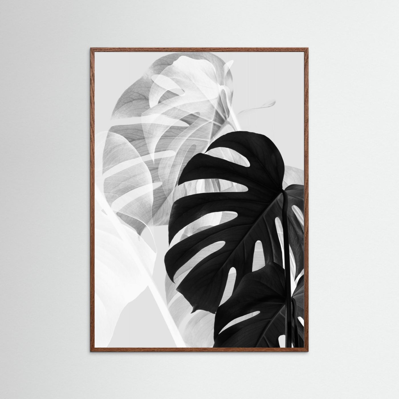Monstera Black and White by Pictufy Studio Iii