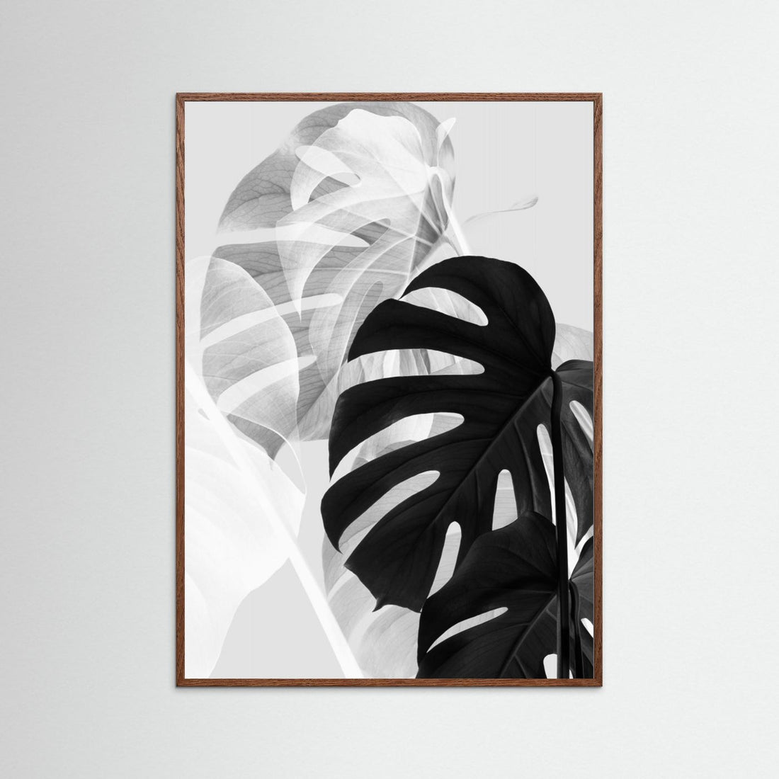 Monstera Black and White by Pictufy Studio Iii