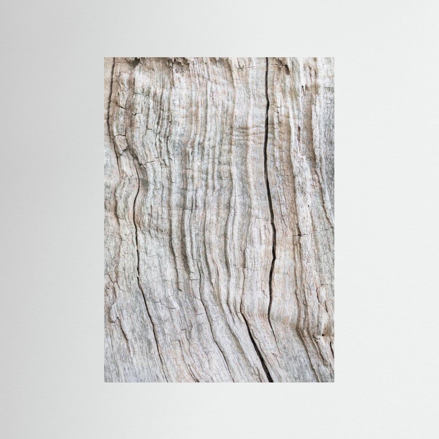 Wood Pattern by Pictufy Studio Iii