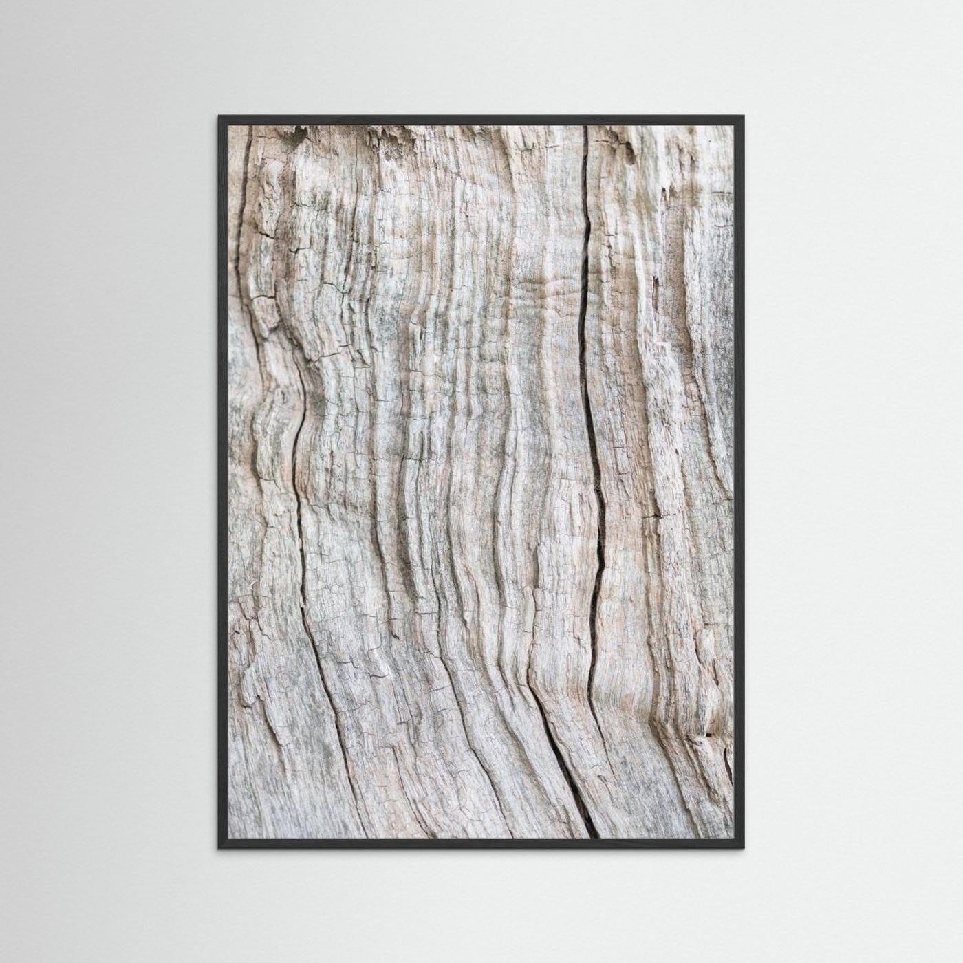 Wood Pattern by Pictufy Studio Iii
