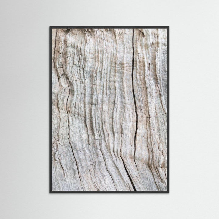 Wood Pattern by Pictufy Studio Iii