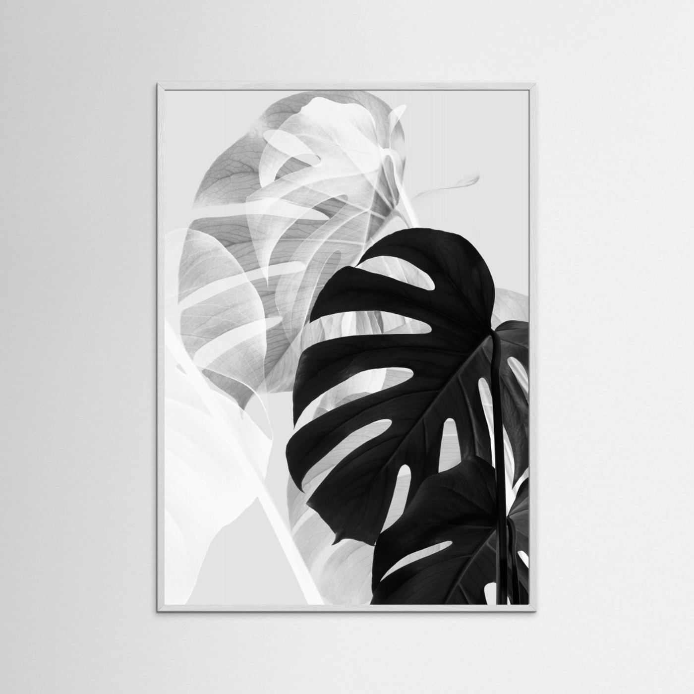Monstera Black and White by Pictufy Studio Iii