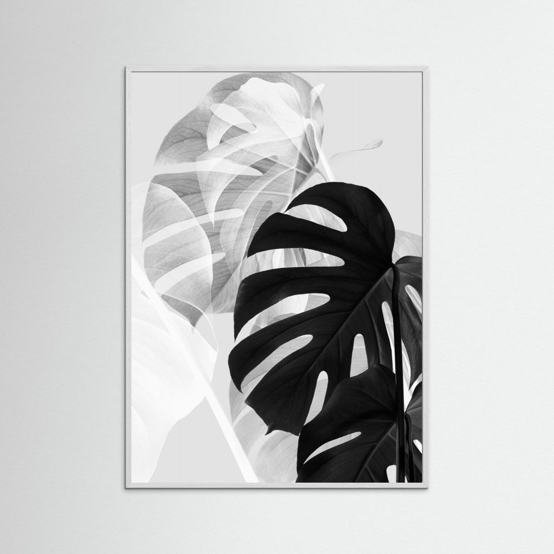 Monstera Black and White by Pictufy Studio Iii