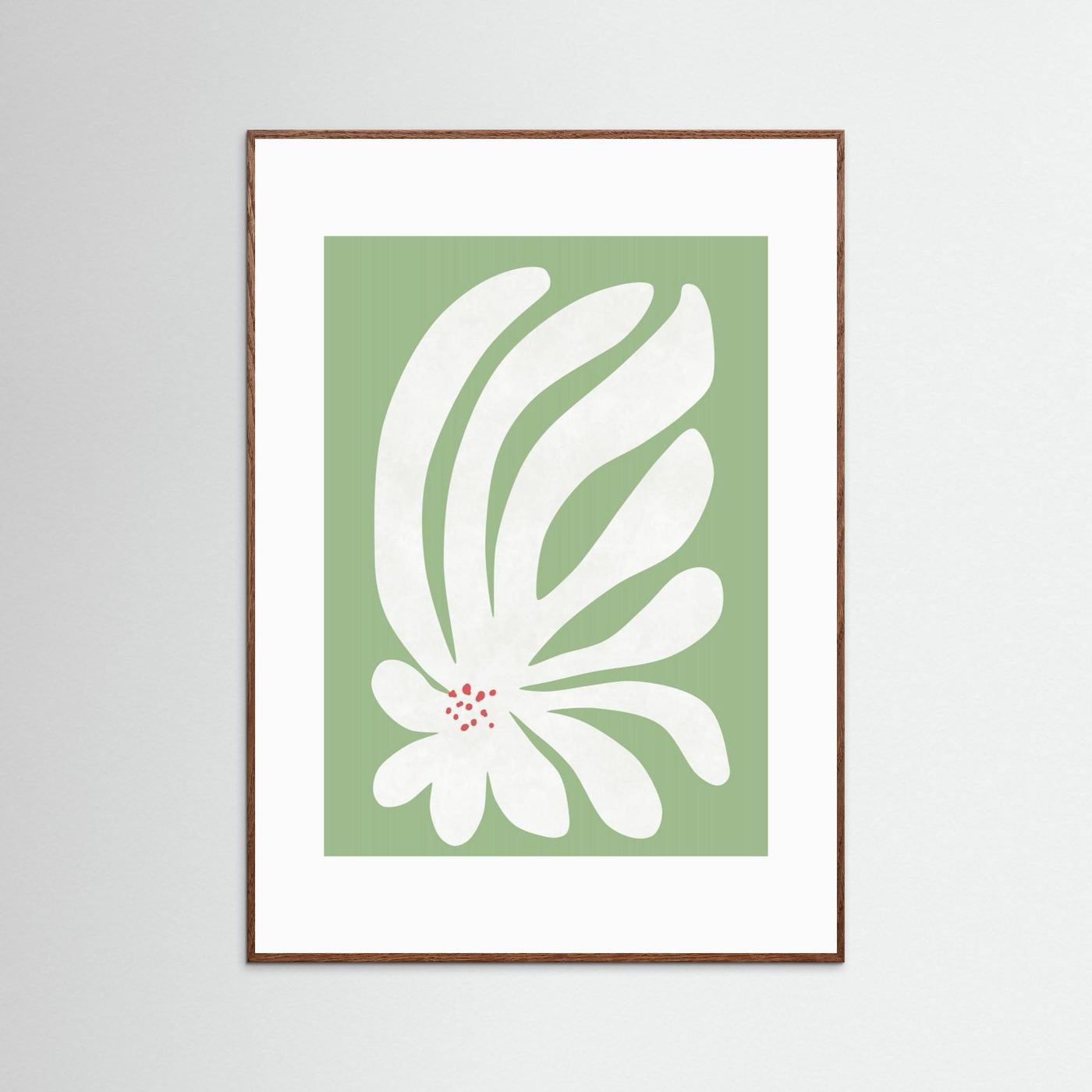 White Chrysanthemum Flower by Amini54