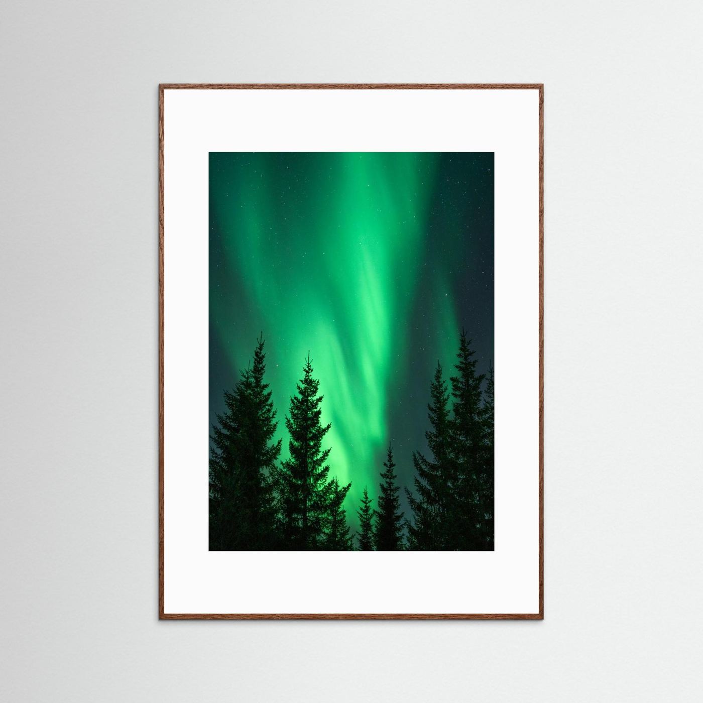 Northern Lights in the Woods by Henrike Schenk