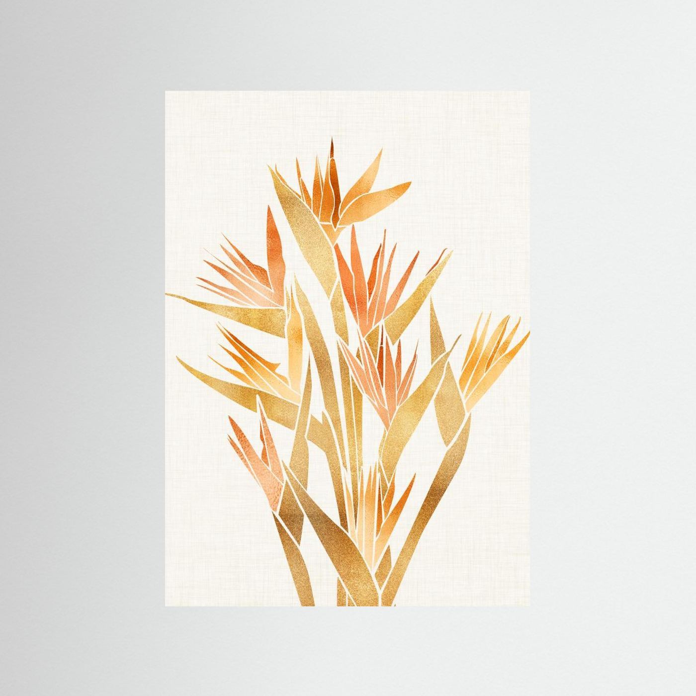 Bird of Paradise by Kristian Gallagher