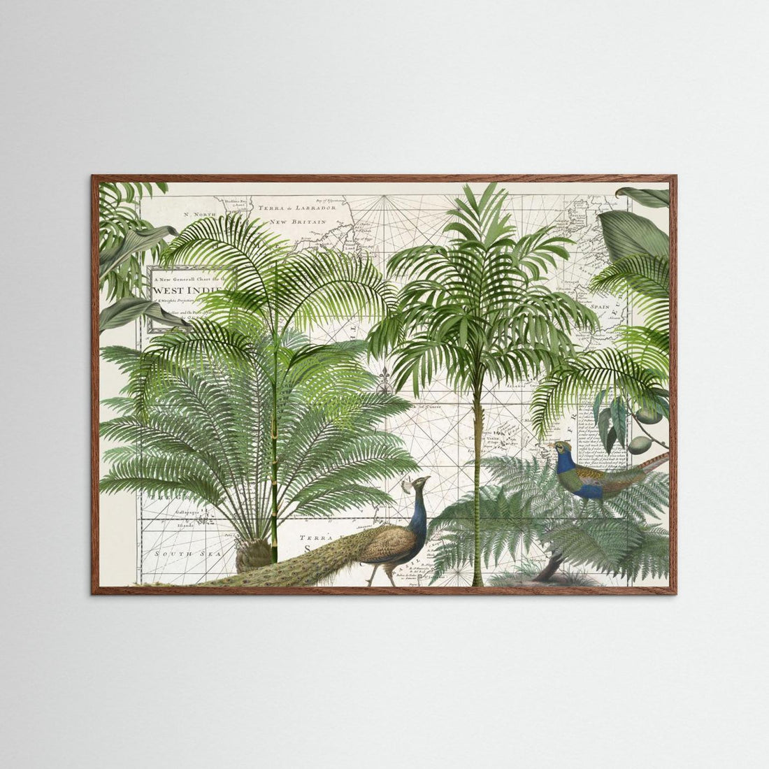 Tropical Empire No6 by Andrea Haase