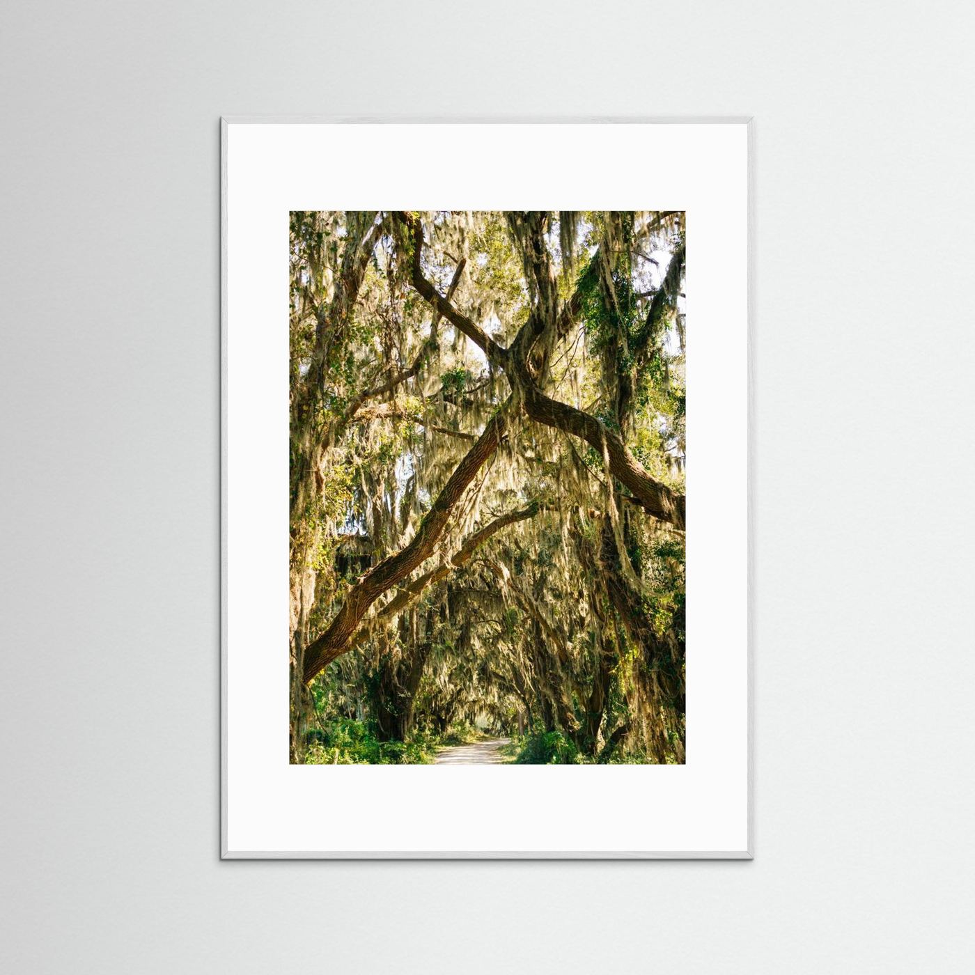 Savannah National Wildlife Refuge VII by Bethany Young