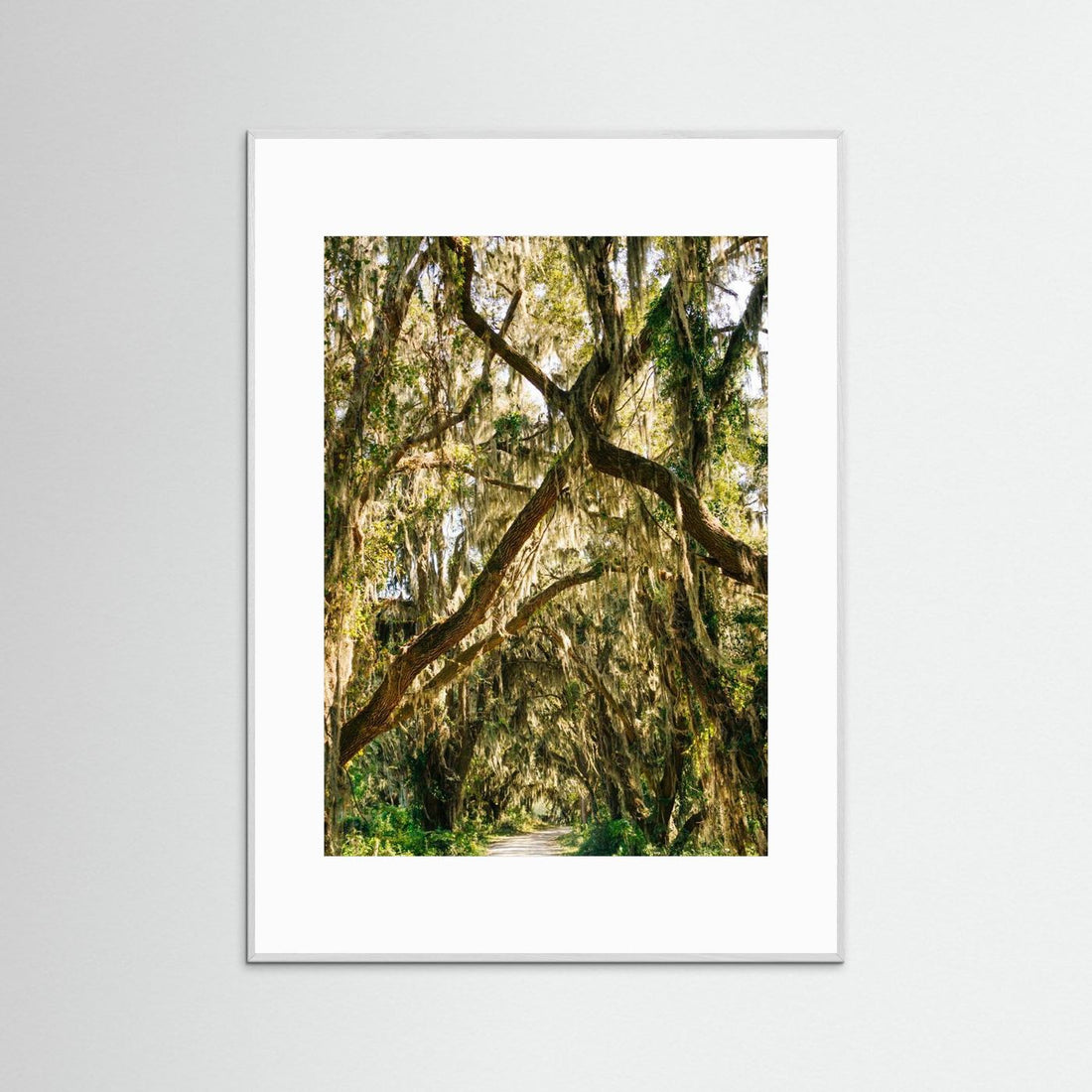 Savannah National Wildlife Refuge VII by Bethany Young