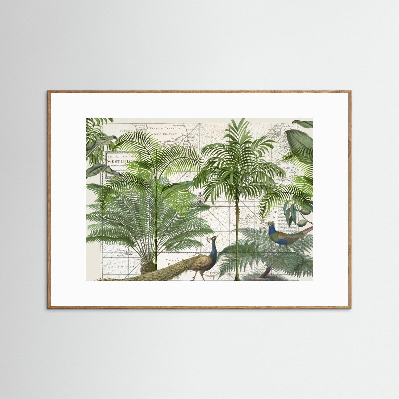 Tropical Empire No6 by Andrea Haase