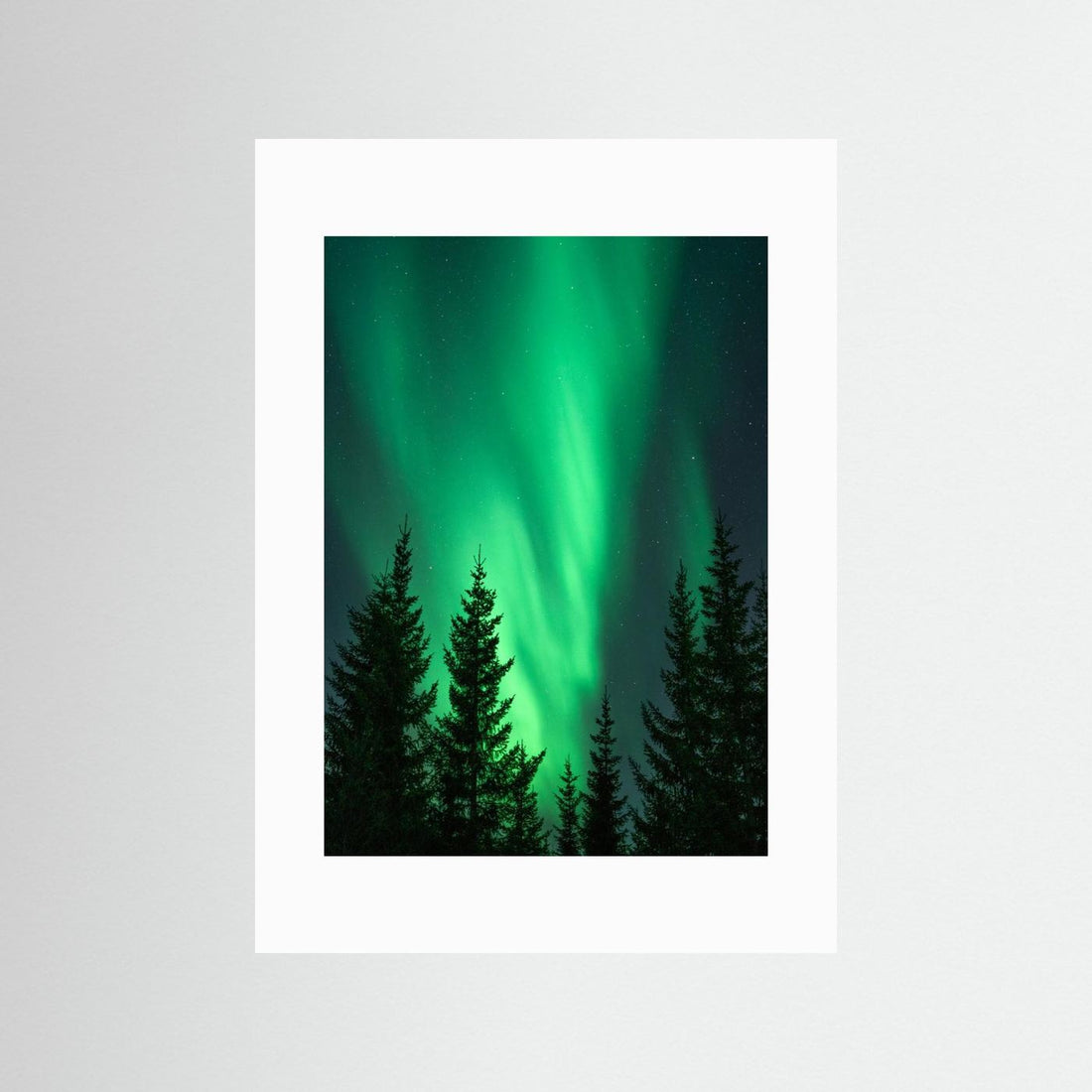 Northern Lights in the Woods by Henrike Schenk