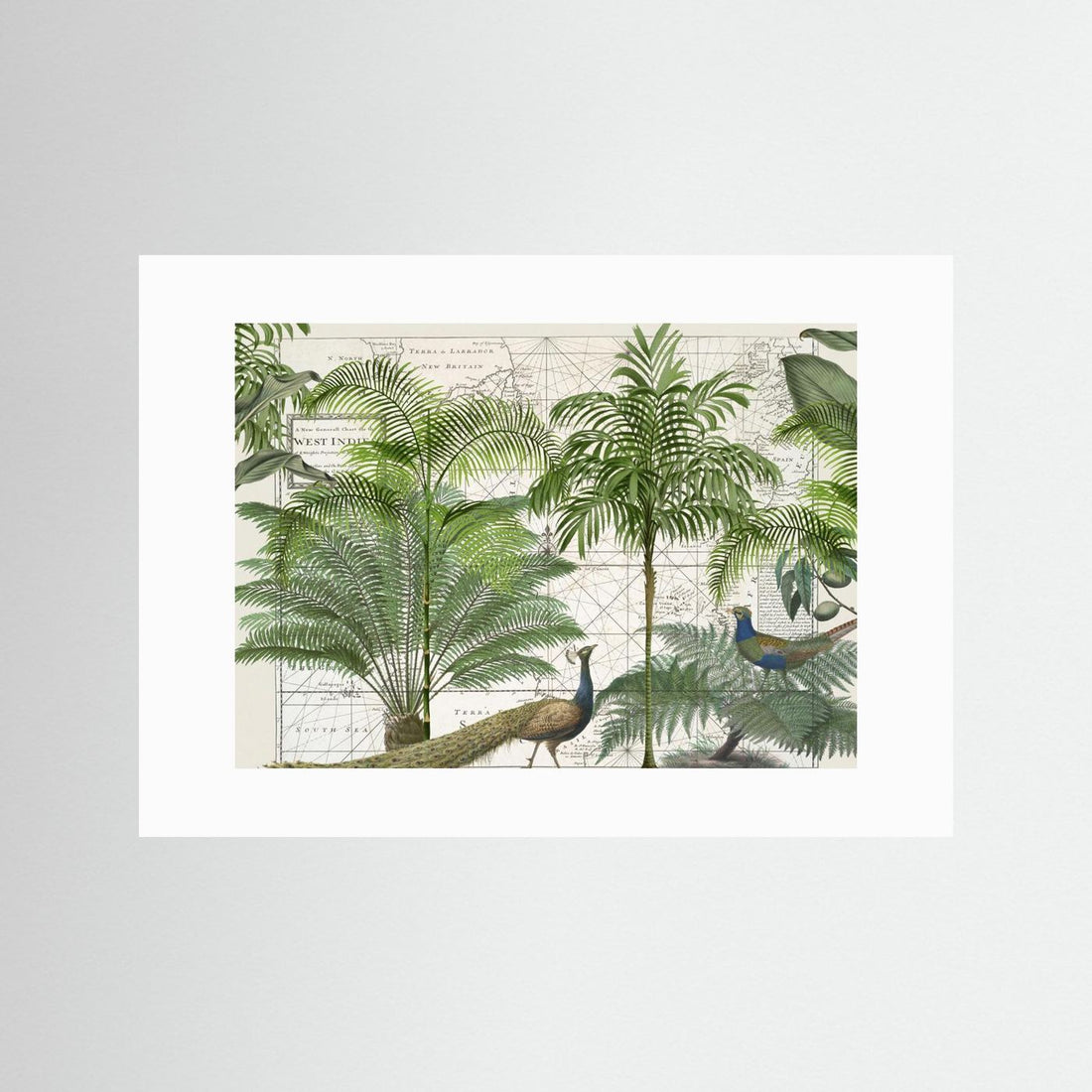 Tropical Empire No6 by Andrea Haase
