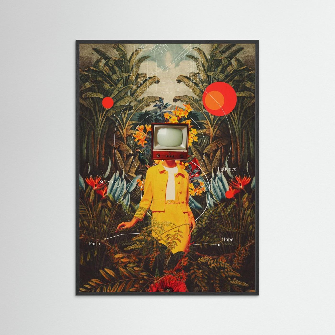 She Came From the Wilderness by Frank Moth