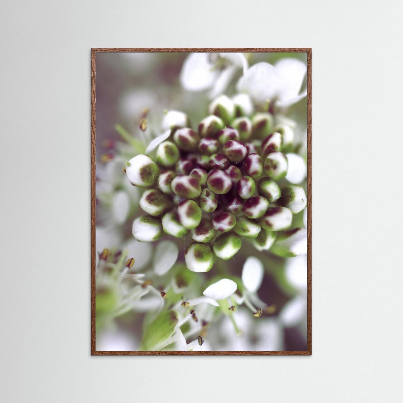 Cluster I by Rosana Laiz Blursbyai
