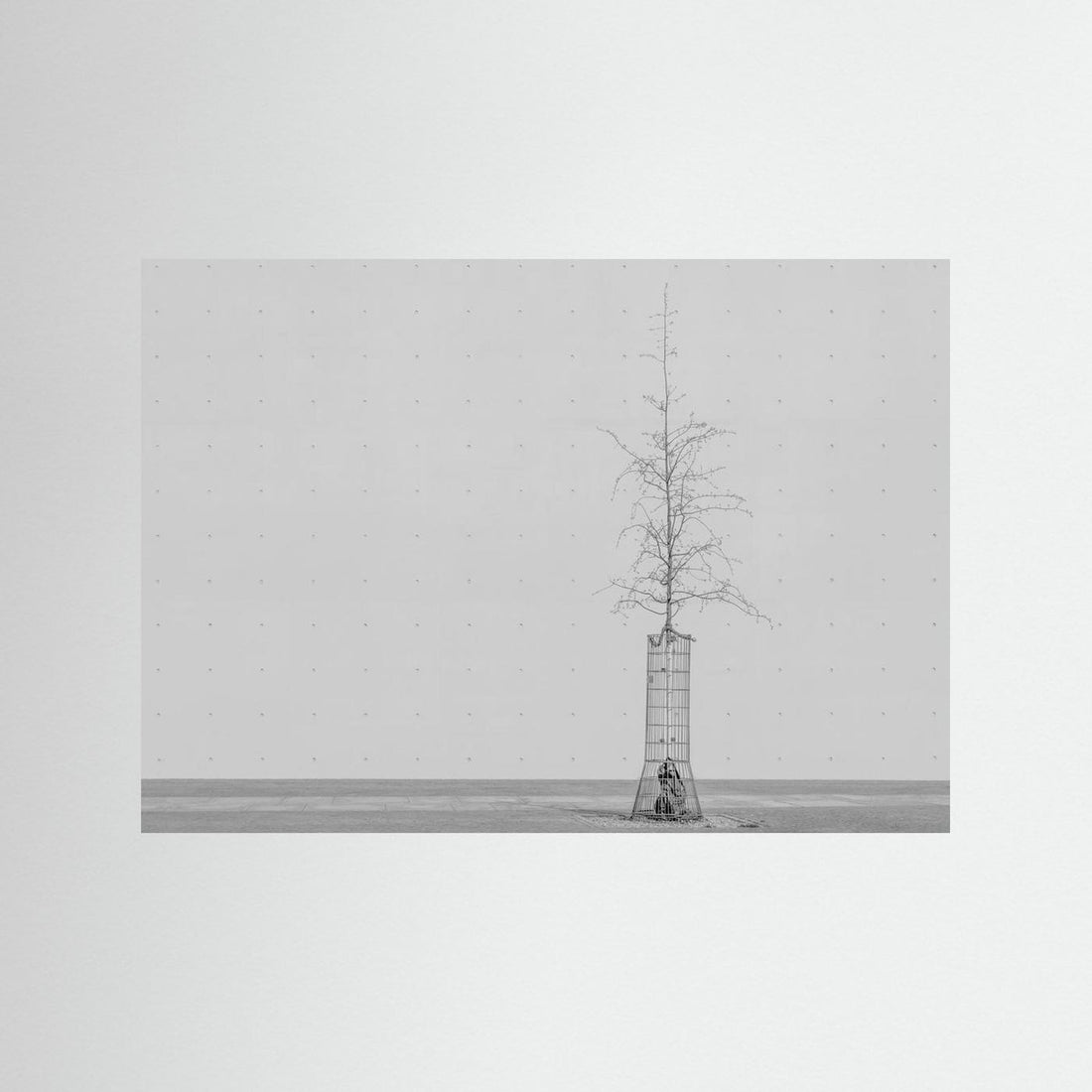 the tree by Klaus Lenzen