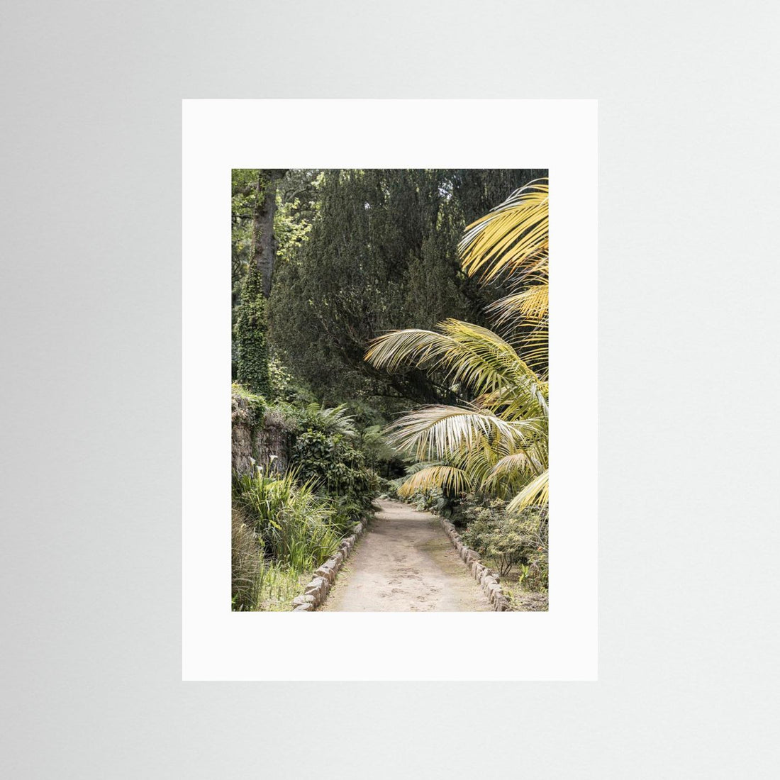 Tropical Walk by Henrike Schenk