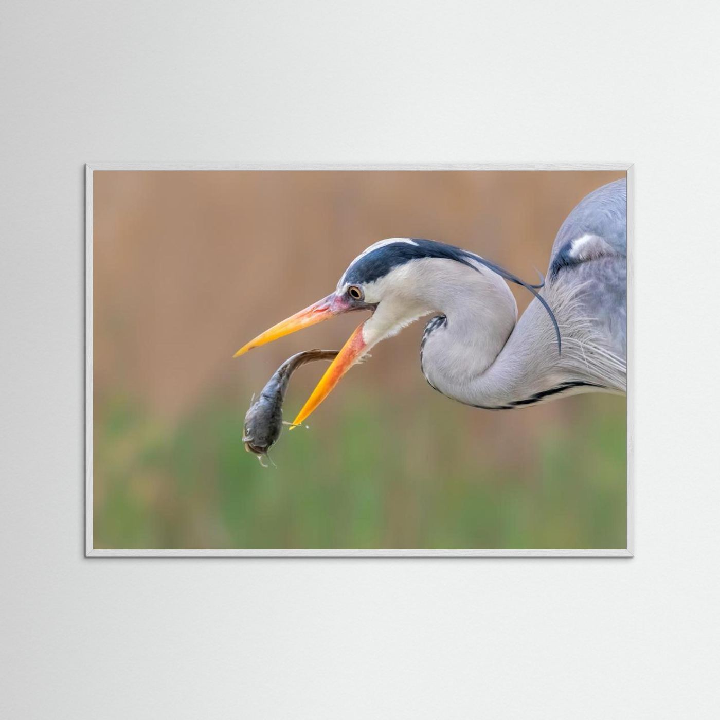 Gotcha by Jun Zuo
