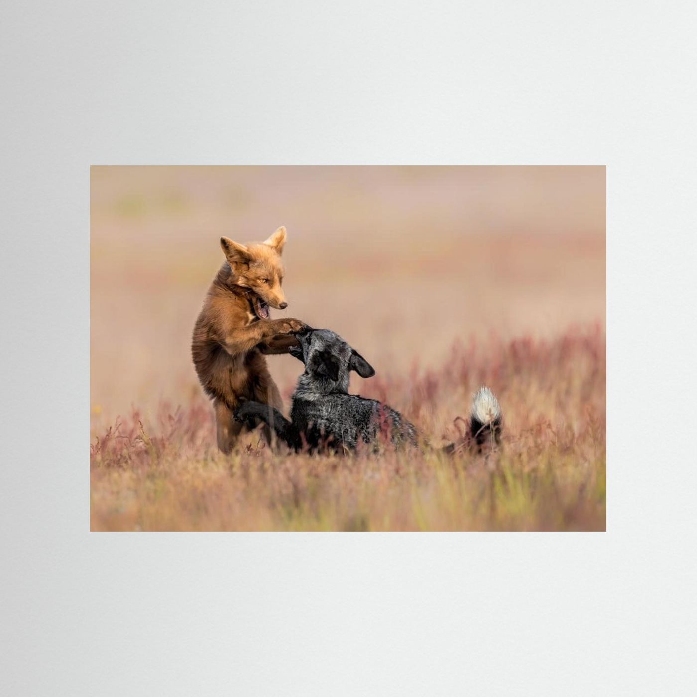 Playing by Jun Zuo