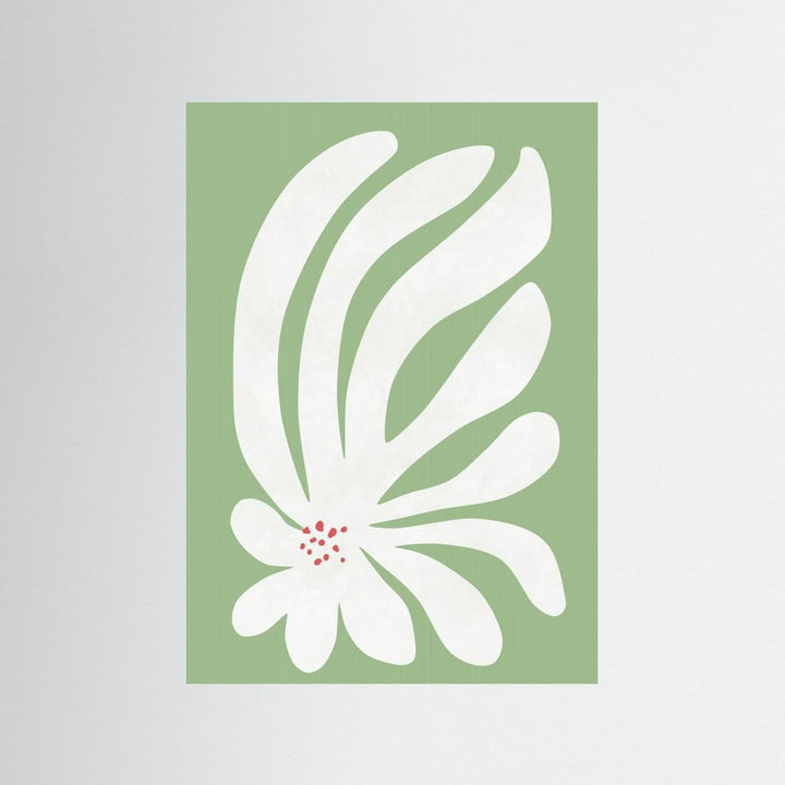 White Chrysanthemum Flower by Amini54