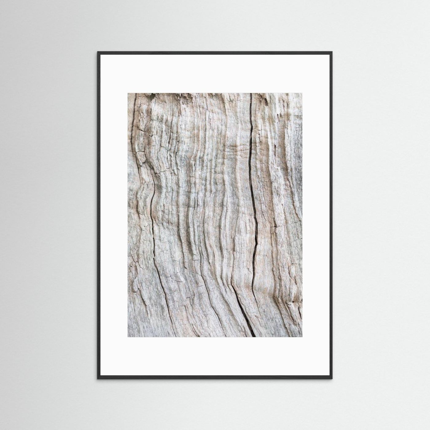 Wood Pattern by Pictufy Studio Iii