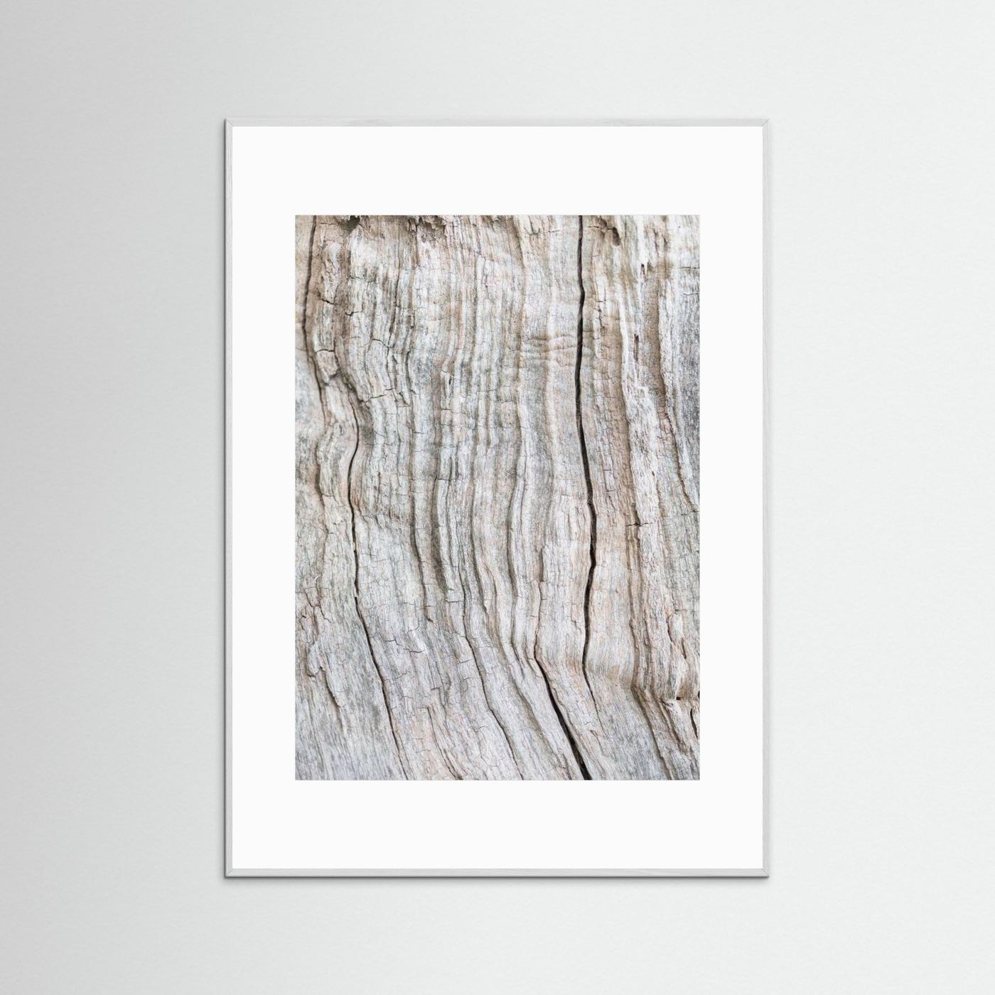 Wood Pattern by Pictufy Studio Iii