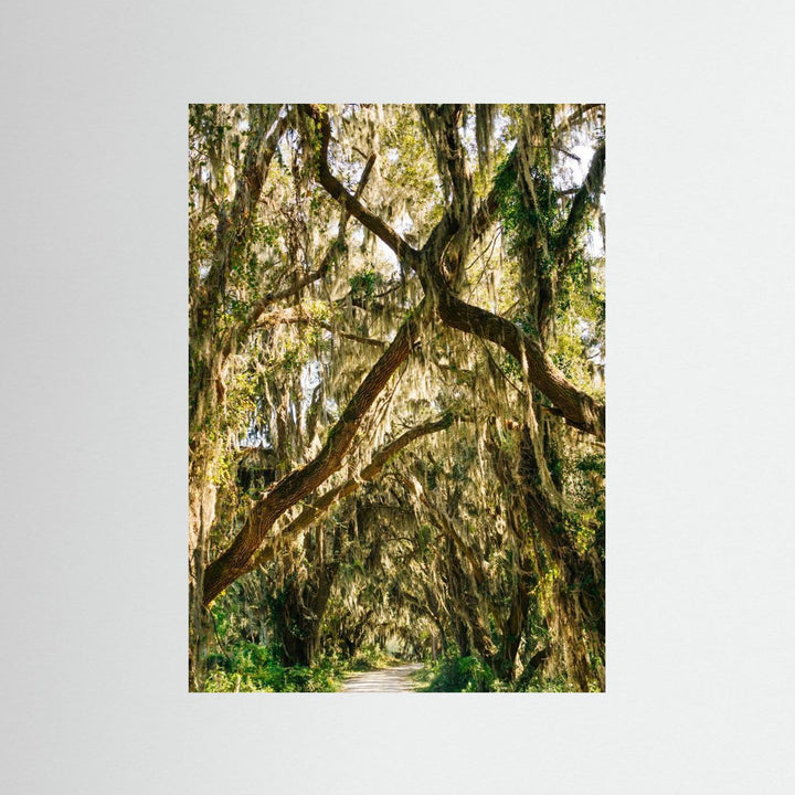 Savannah National Wildlife Refuge VII by Bethany Young