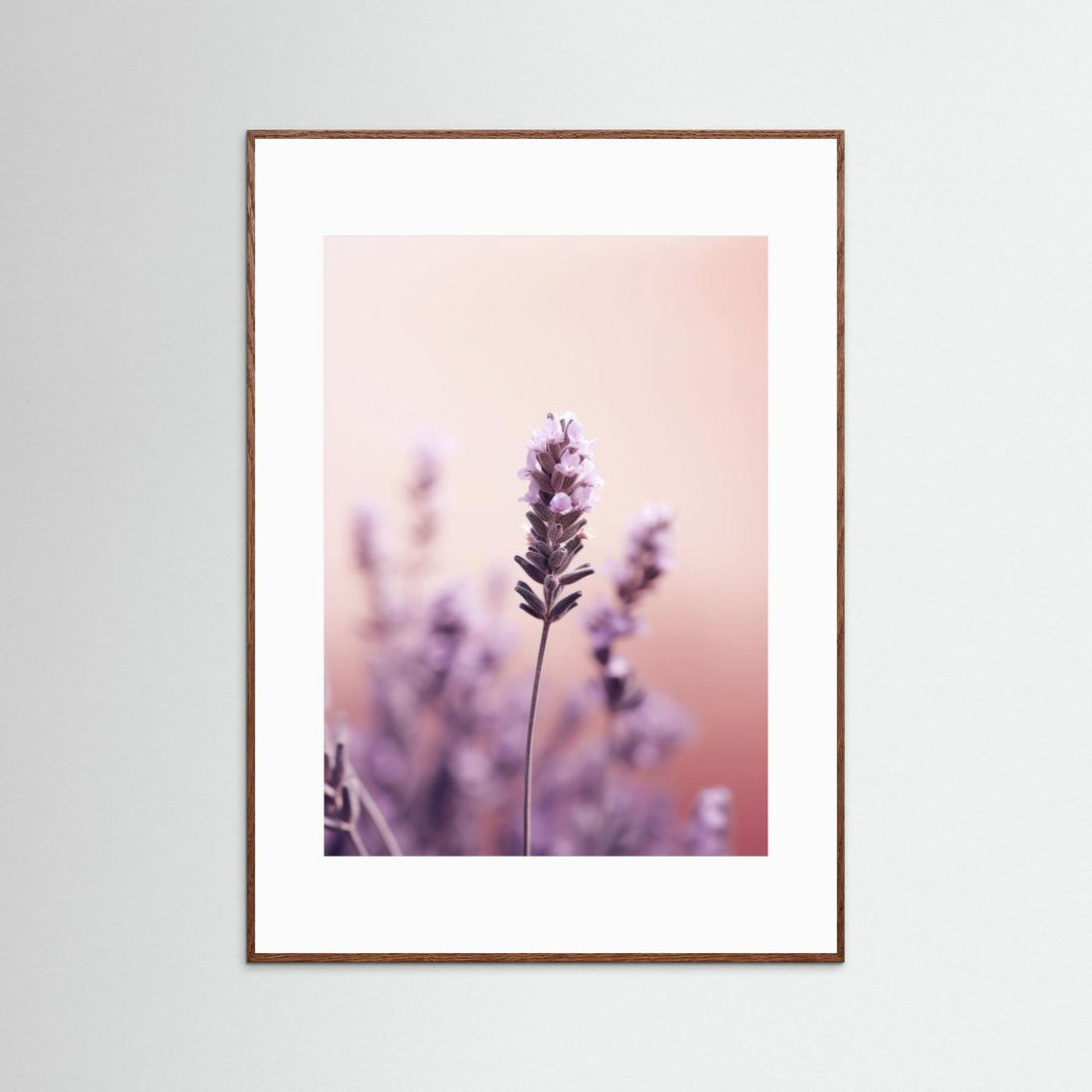 Lavender Detail by Treechild