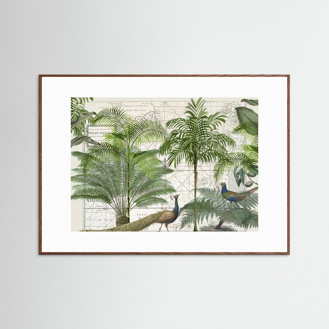 Tropical Empire No6 by Andrea Haase